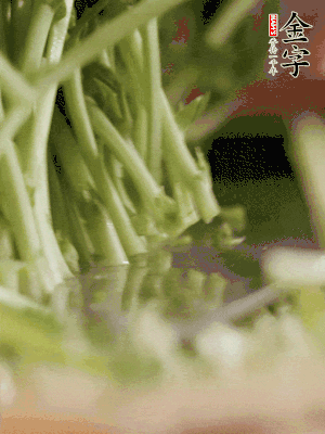 新鮮豌豆苗割下洗凈。